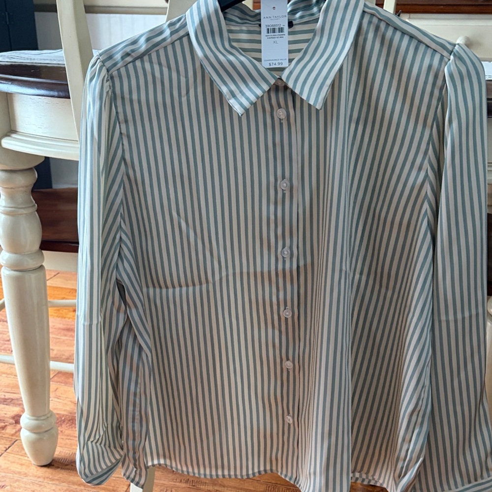 Ann Taylor blue and White Striped Shirt